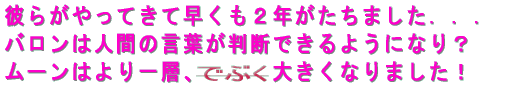 ނ炪ĂđQN܂DDD o͐lԂ̌tfł悤ɂȂH [͂wA@@@傫Ȃ܂I 